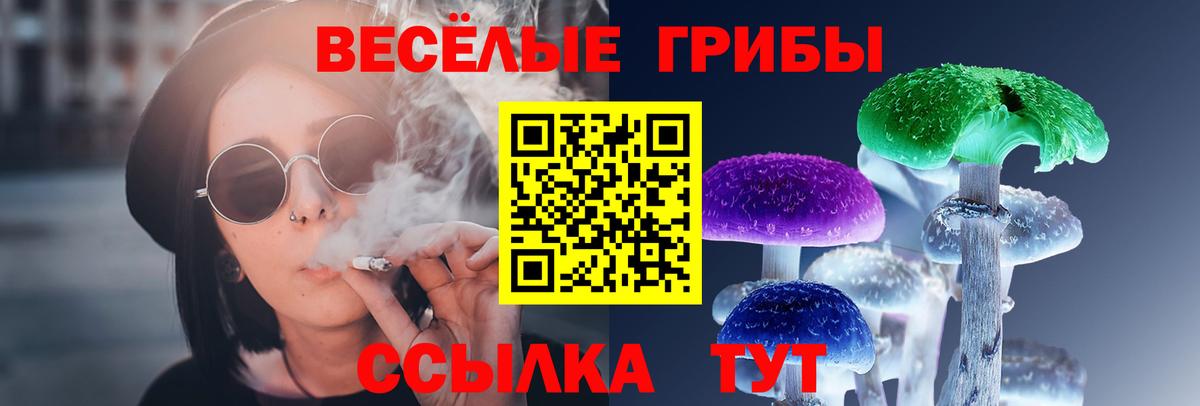 Псилоцибиновые грибы мицелий  Псилоцибиновые грибы GOLDEN TEACHER  Бугуруслан  Вход с VPN 